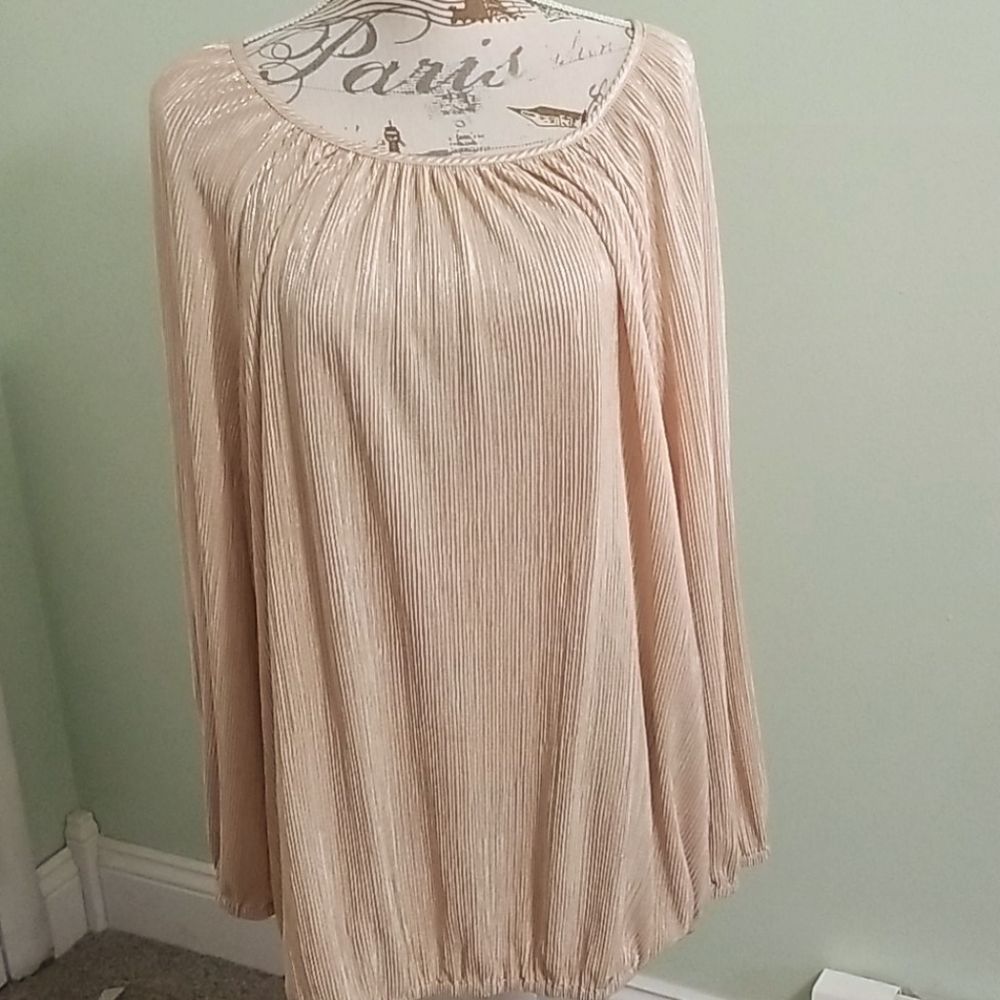 Faded Glory Shiny Silver/Gold Tunic Top XL